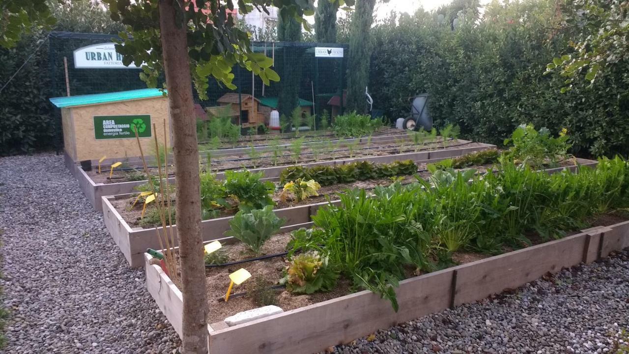 Masseria Urbana Crispiano Εξωτερικό φωτογραφία