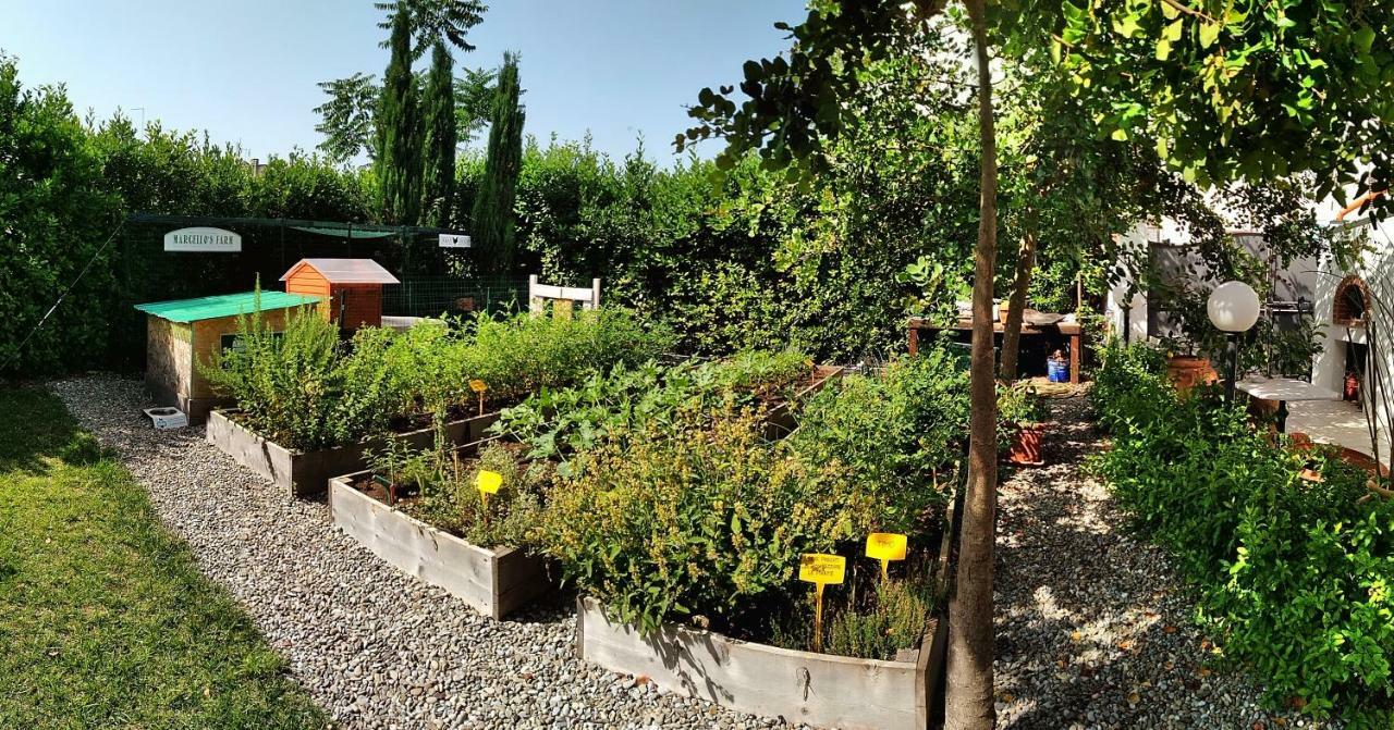 Masseria Urbana Crispiano Εξωτερικό φωτογραφία